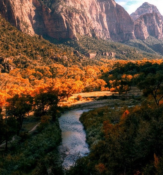 泰国粉象生活图片