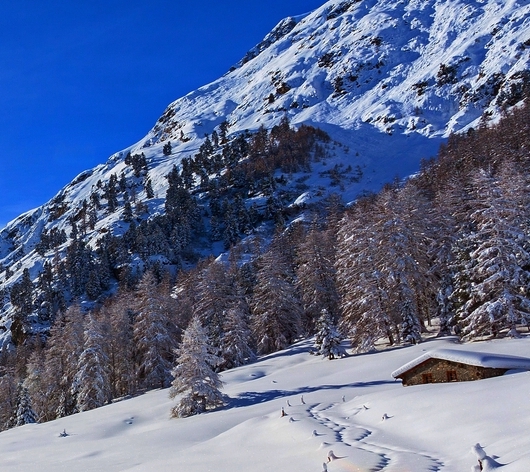 粉象生活杜拉拉