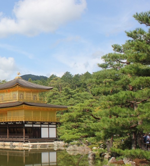 粉象生活分销的返利