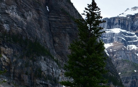 粉象生活注册码
