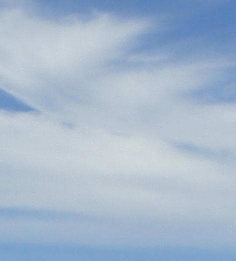 粉象生活代理哪里注册