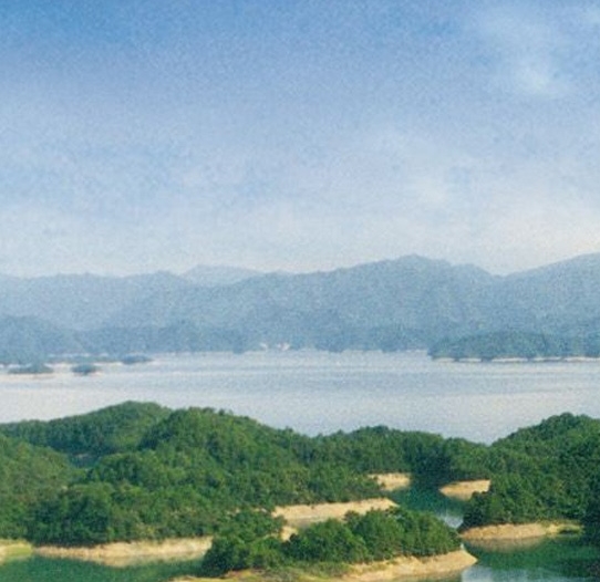 粉象生活消费扶贫