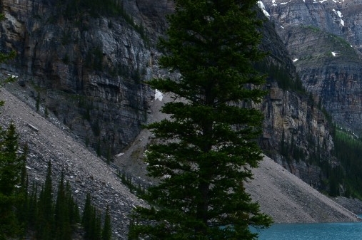 湛江粉象生活加盟代理
