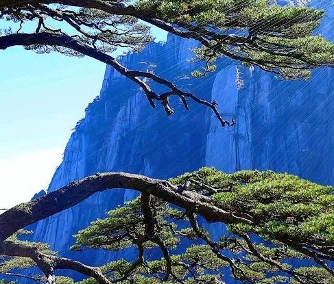 粉象生活下载