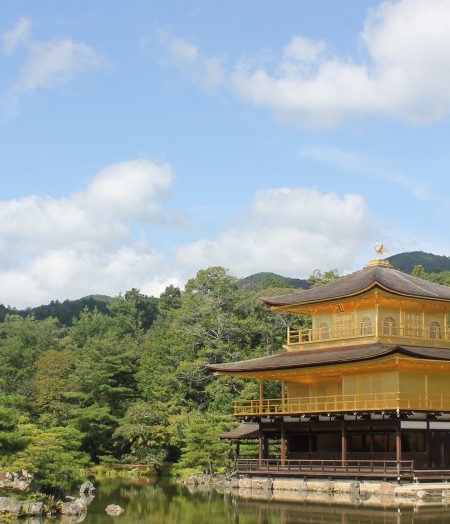 粉象生活手机在哪里登录