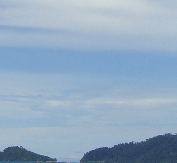 怎样下载粉象生活app