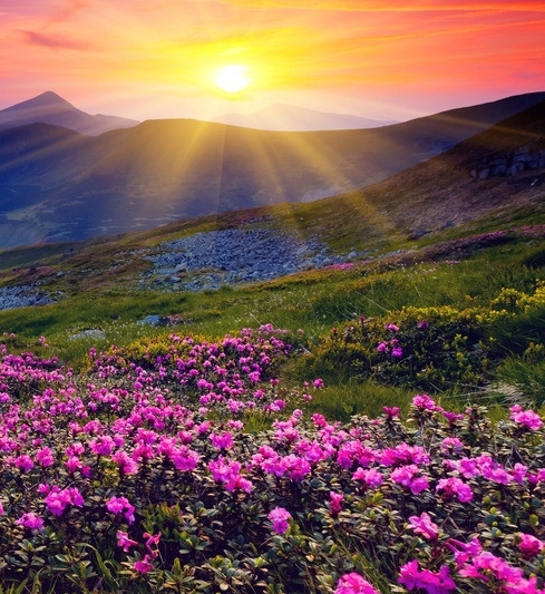 粉象生活简单实惠