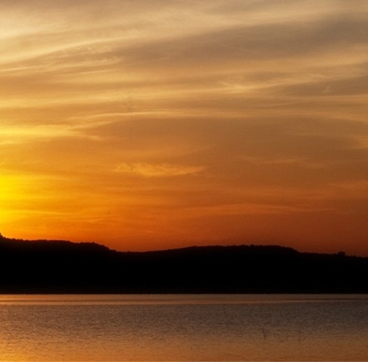 粉象生活的淘宝怎么注销