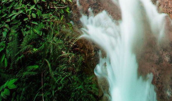 象往的生活南京