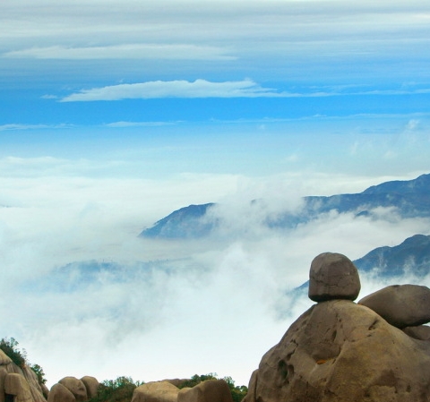 粉象生活注册多久