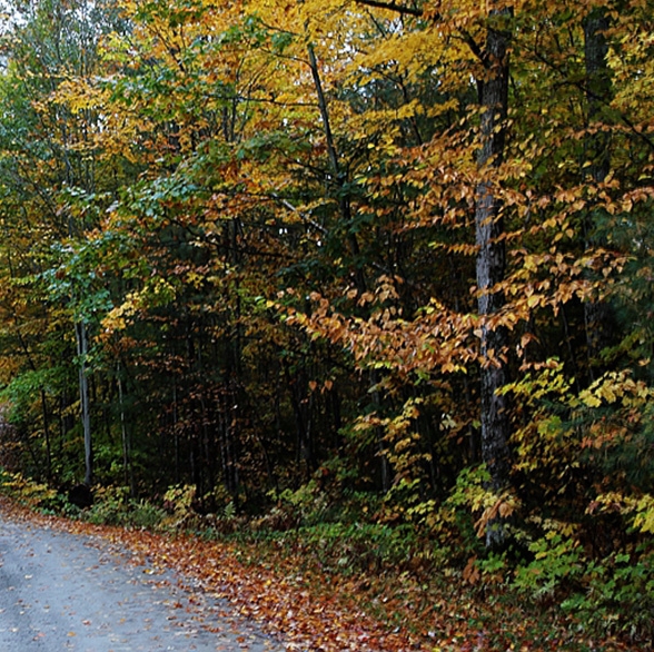 粉象生活是什么?