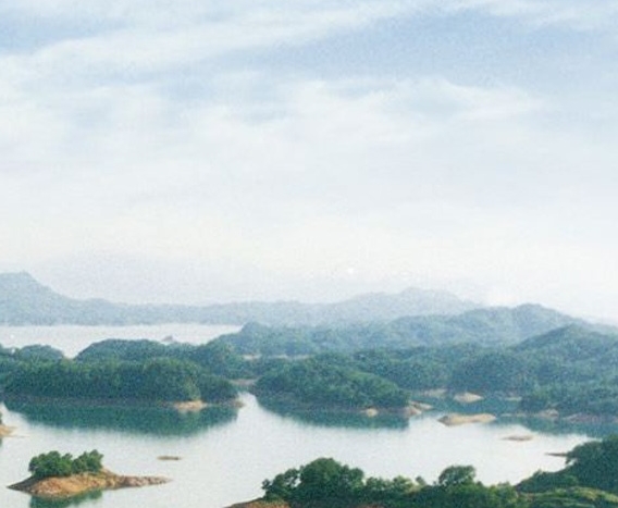 粉象生活团咚咚