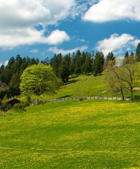 粉象生活是什么?