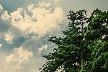 李红星 粉象生活