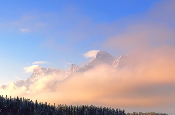 粉象生活怎么赚钱