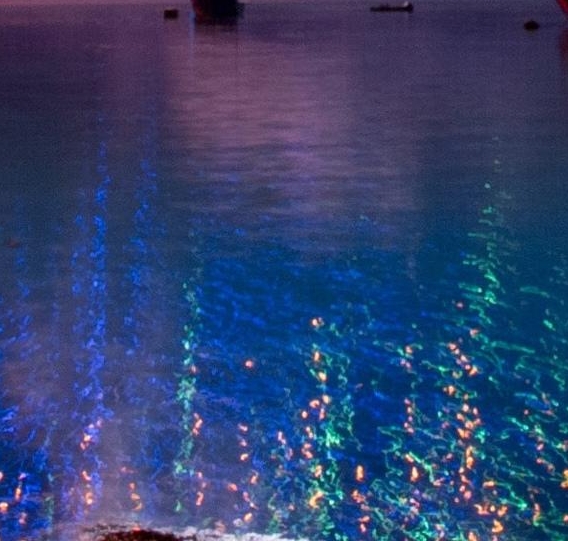 粉象生活商城运营