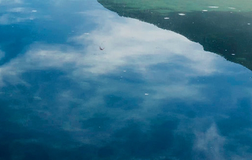 粉象生活下载app