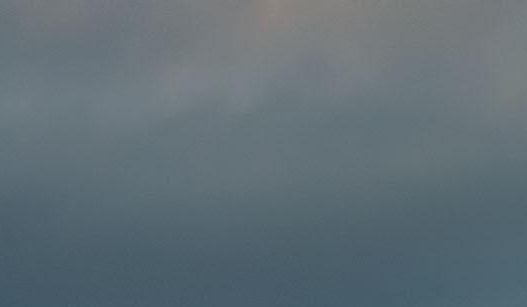 粉象生活注册用户名