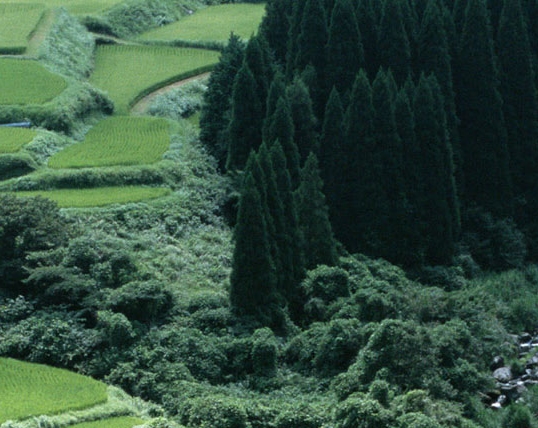 齐齐哈尔粉象生活