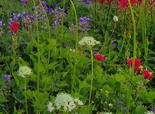 粉象生活商家怎么注册