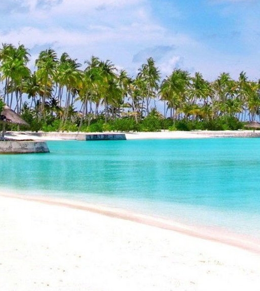 粉象生活换头像