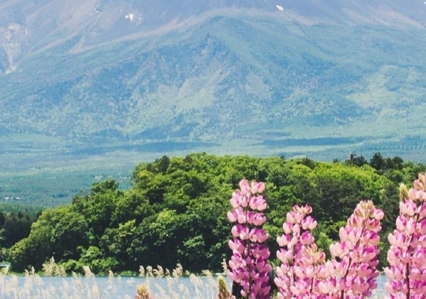 粉象生活邀请码零填325.922