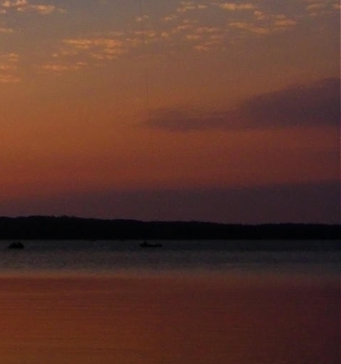 粉象生活怎么看上级是谁