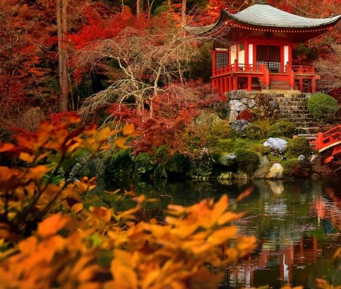 如何成为粉象vip会员