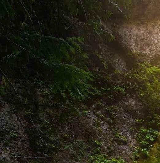 江苏加盟粉象生活