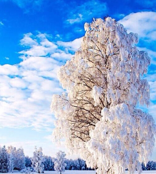 粉象生活的用户在哪里找