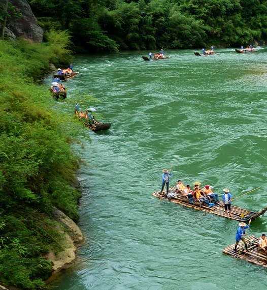 粉象生活怎么样登录