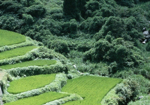 粉象生活邀请码∶