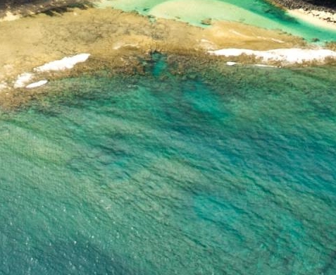 粉象生活公司人数