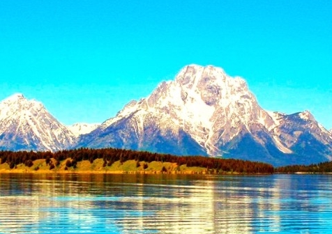 新手粉象生活怎么赚钱