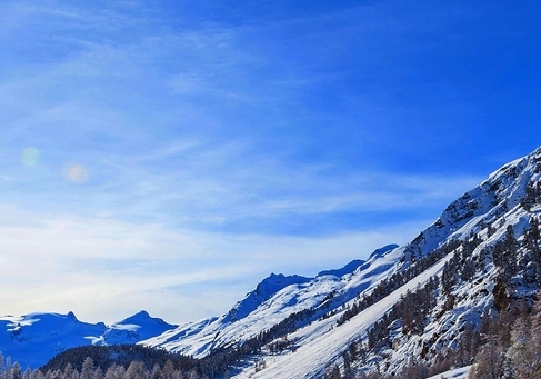 粉象生活邀请码可以改吗