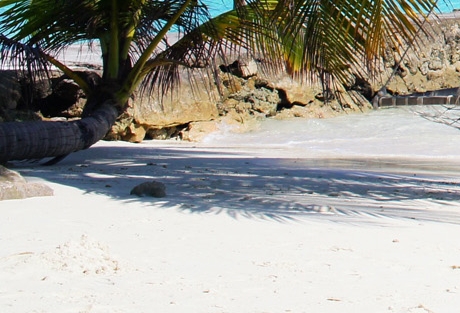 不用邀请码可以注册粉象吗