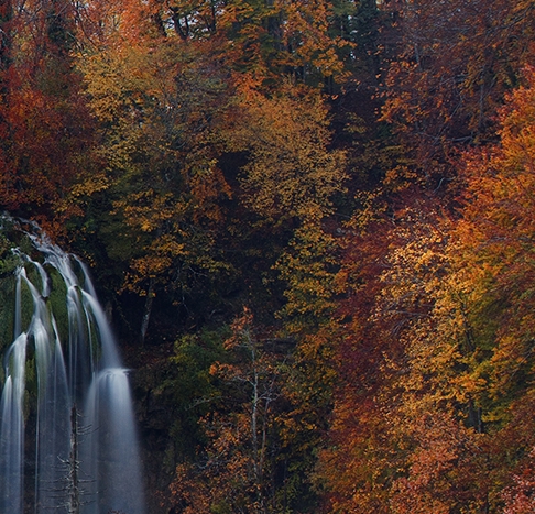 粉象生活邀请id