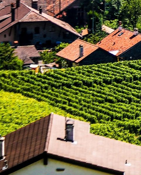 粉象生活怎么找关注的人