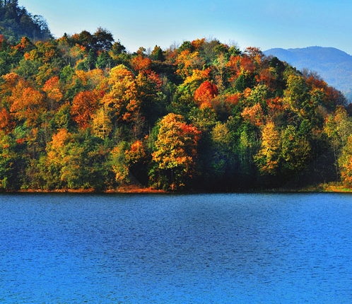 粉象生活都有什么内容