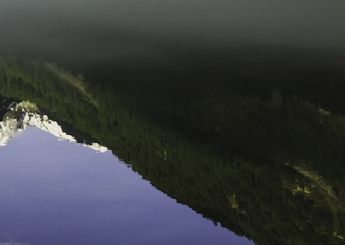 粉象生活要多久才有收益