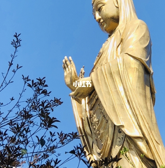 梅州粉象生活会员