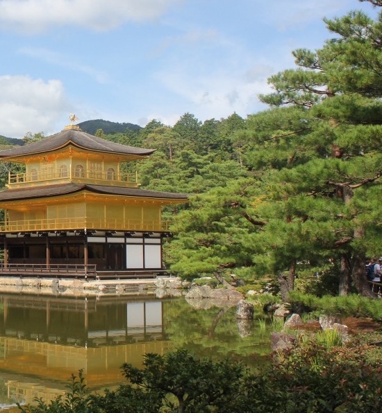 粉象生活多久收一次钱