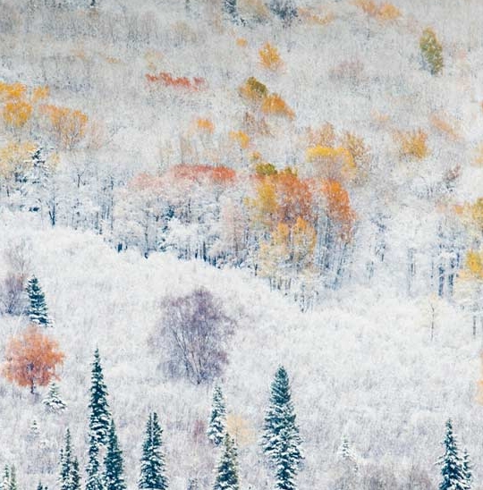 粉象生活如何申请收益