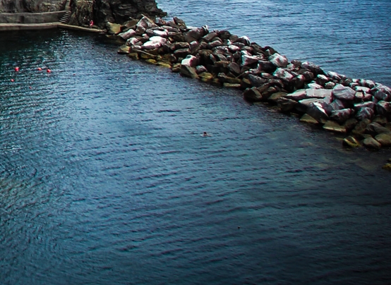 粉象生活的收益多久结一次