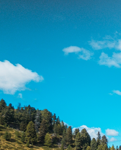 粉象生活vx自动回复机器人