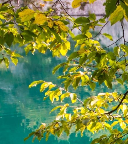 绵阳粉象生活注册