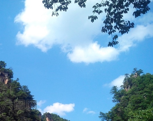 粉象生活和淘乐惠