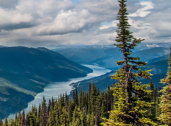 粉象生活靠什么盈利