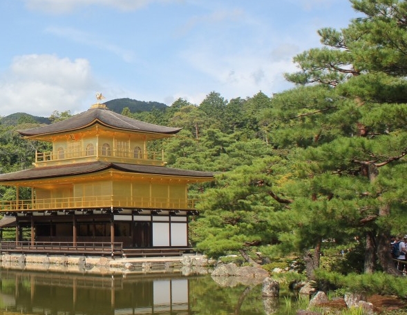 粉象生活注销后多久才能注册