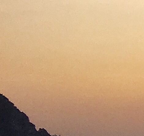 比利时浅粉象啤酒